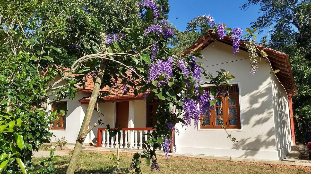 The Pepper Cottage Gomagoda Exterior photo